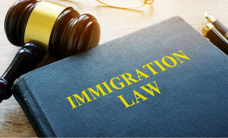 immigration lawyer