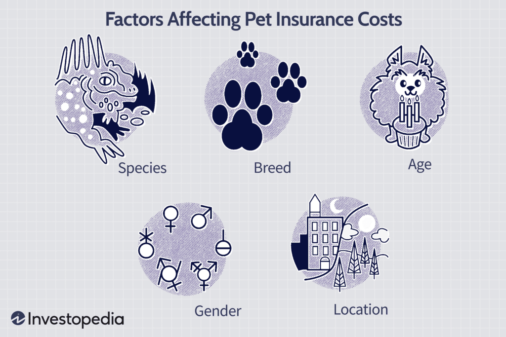pet insurance