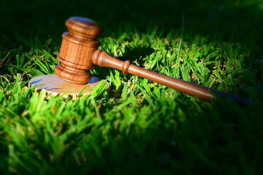 Environmental Lawyers: Legal Champions for Environmental Protection and Sustainability